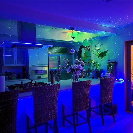 Heaven'S Best Kept Secret 4 Min From The Sea Los Angeles Exterior photo